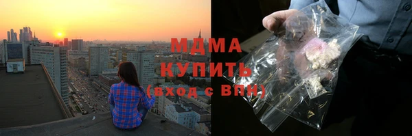 индика Ельня